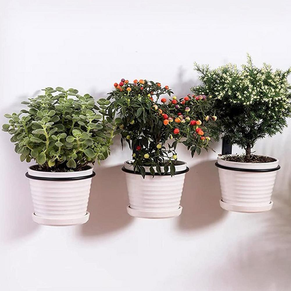 4/5/6/8 Inches Metal Flowerpot - Screw Organizer Kit review and price
